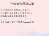 三年级科学下册第一单元植物的生长变化2种植我们的植物课件3教科版