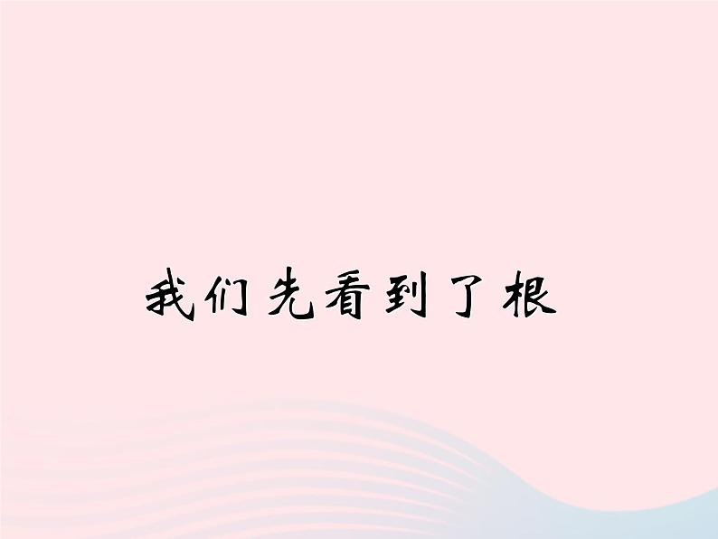 三年级科学下册第一单元植物的生长变化3我们先看到了根课件1教科版01