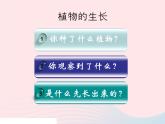 三年级科学下册第一单元植物的生长变化3我们先看到了根课件1教科版