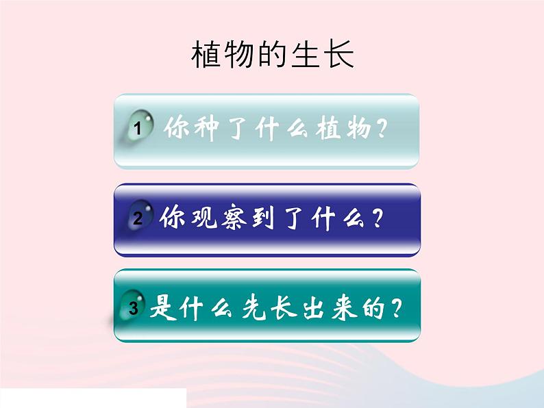 三年级科学下册第一单元植物的生长变化3我们先看到了根课件1教科版02