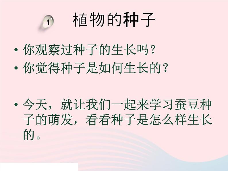 三年级科学下册第一单元植物的生长变化3我们先看到了根课件1教科版03