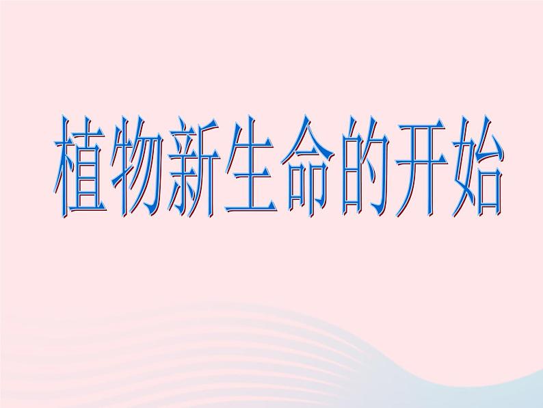 三年级科学下册第一单元植物的生长变化1植物新生命的开始课件3教科版01