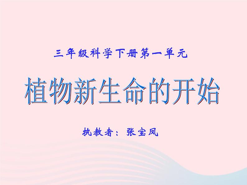 三年级科学下册第一单元植物的生长变化1植物新生命的开始课件3教科版04