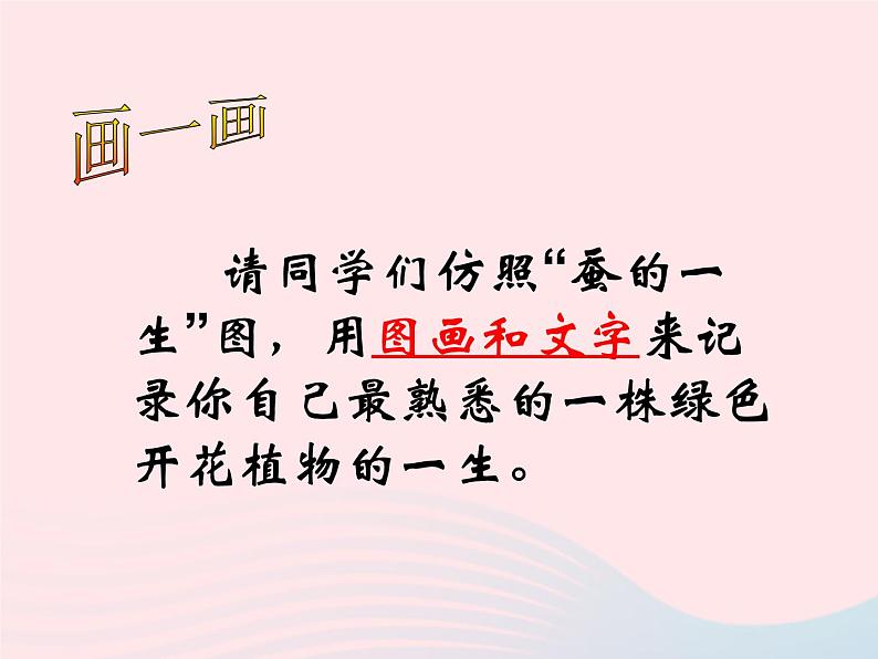 三年级科学下册第一单元植物的生长变化1植物新生命的开始课件3教科版05