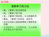 三年级科学下册第一单元植物的生长变化2种植我们的植物课件1教科版