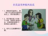 三年级科学下册第一单元植物的生长变化2种植我们的植物课件6教科版