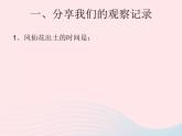 三年级科学下册第一单元植物的生长变化4种子变成了幼苗课件教科版