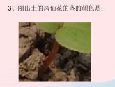 三年级科学下册第一单元植物的生长变化4种子变成了幼苗课件教科版