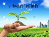 三年级科学下册第一单元植物的生长变化2种植我们的植物课件2教科版