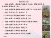 三年级科学下册第一单元植物的生长变化2种植我们的植物课件2教科版