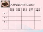 三年级科学下册第一单元植物的生长变化2种植我们的植物课件2教科版