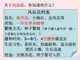 三年级科学下册第一单元植物的生长变化2种植我们的植物课件5教科版