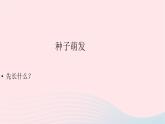 三年级科学下册第一单元植物的生长变化3我们先看到了根课件3教科版
