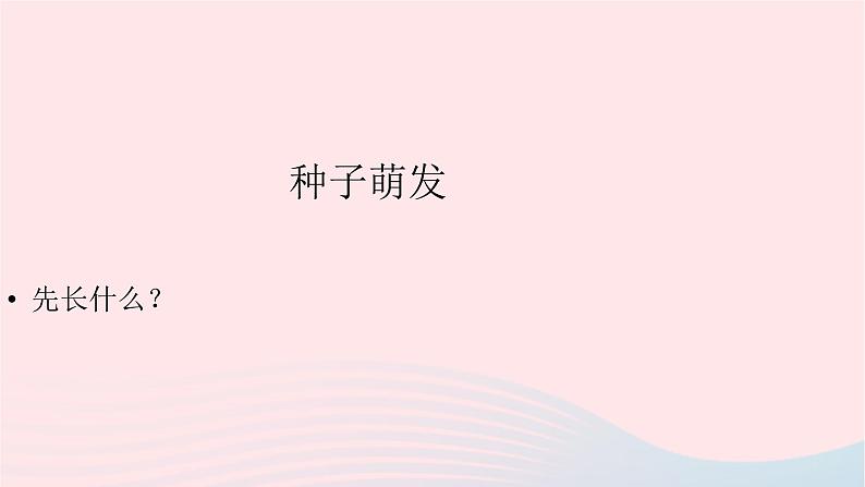 三年级科学下册第一单元植物的生长变化3我们先看到了根课件3教科版01