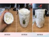 三年级科学下册第一单元植物的生长变化3我们先看到了根课件3教科版