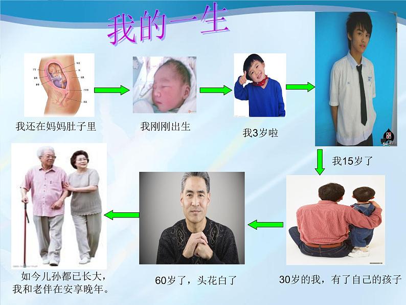 教科版（三起）科学三年级下册第二单元7、我们的生命周期 课件07