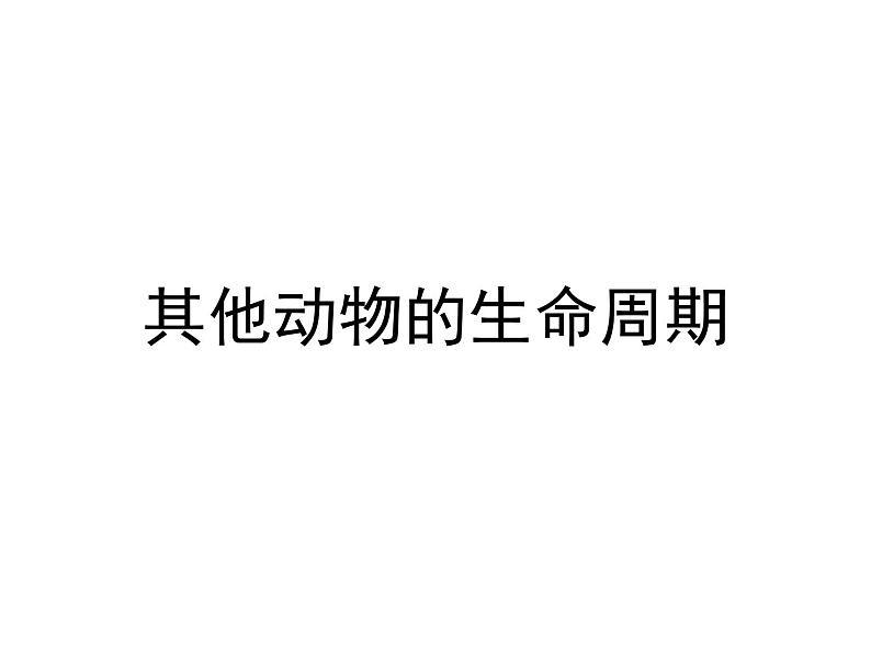 教科版（三起）科学三年级下册第二单元6、其他动物的生命周期 课件01