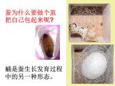 教科版（三起）科学三年级下册第二单元3《蚕变了新模样PPT课件》