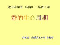 小学科学教科版三年级下册5.蚕的生命周期教学演示ppt课件