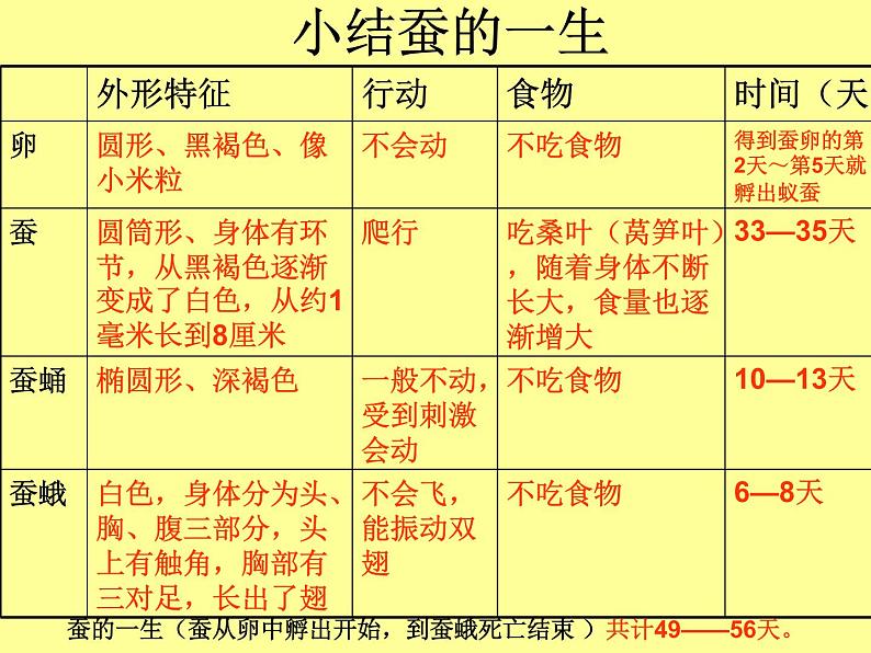 教科版（三起）科学三年级下册第二单元5-蚕的生命周期 课件04