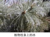 教科版（三起）科学三年级下册第三单元3、水结冰了-课件