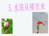 教科版（三起）科学三年级下册第三单元5、水珠从哪里来ppt课件