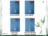 教科版（三起）科学三年级下册第三单元2《测量水的温度》