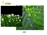 教科版（三起）科学三年级下册第三单元5、水珠从哪里来 课件