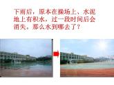 教科版（三起）科学三年级下册第三单元6、水和水蒸气 课件