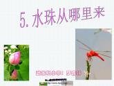 教科版（三起）科学三年级下册第三单元5《水珠从哪里来ppt》.