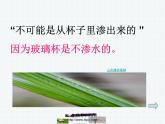 教科版（三起）科学三年级下册第三单元5《水珠从哪里来ppt》.