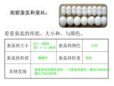 教科版（三起）科学三年级下册第二单元3《蚕变了新模样》 课件