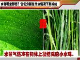 教科版（三起）科学三年级下册第三单元7、水的三态变化(精品) 课件