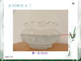 教科版（三起）科学三年级下册第三单元6《水和水蒸气》 课件