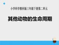 教科版三年级下册6.其他动物的生命周期课文配套ppt课件
