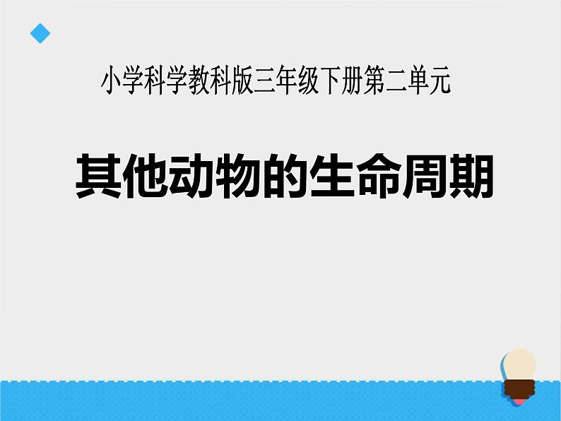 教科版（三起）科学三年级下册第二单元6《其他动物的生命周期》课件01