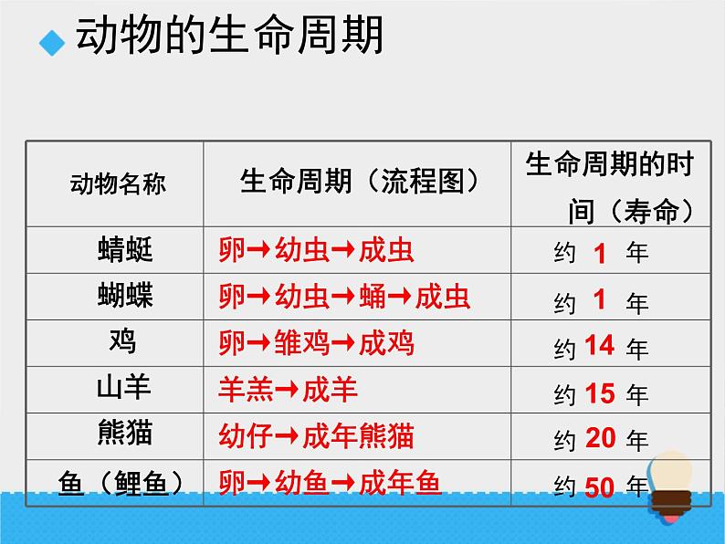 教科版（三起）科学三年级下册第二单元6《其他动物的生命周期》课件04