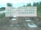 教科版（三起）科学三年级下册第三单元6-水和水蒸气--PPT