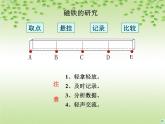 教科版（三起）科学三年级下册第四单元3、磁铁的两极 课件