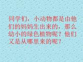 教科版（三起）科学三年级下册第一单元1《植物新生命的开始》课件