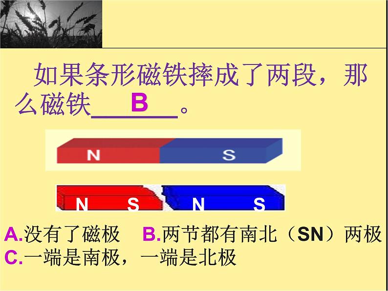 教科版（三起）科学三年级下册第四单元6、指南针 课件03