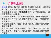 教科版（三起）科学三年级下册第一单元2《种植我们的植物》课件