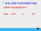 教科版（三起）科学三年级下册第一单元2《种植我们的植物》课件