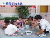 教科版（三起）科学三年级下册第一单元2《种植我们的植物》课件