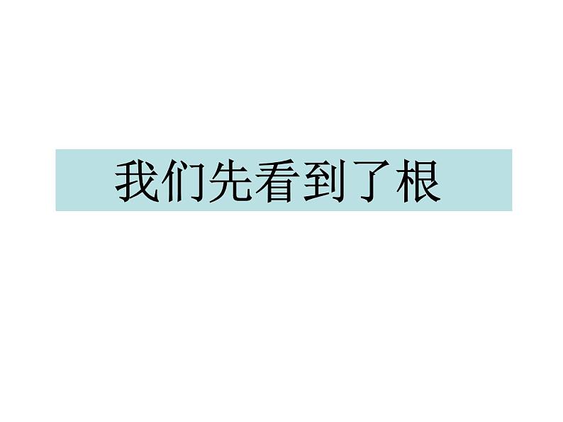 教科版（三起）科学三年级下册第一单元3、我们先看到了根 课件01