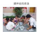 教科版（三起）科学三年级下册第一单元2-种植我们的植物 课件