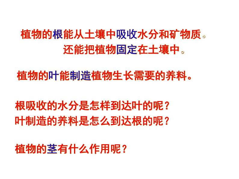 教科版（三起）科学三年级下册第一单元5、茎越长越高 课件01