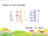 教科版（三起）科学三年级下册第一单元6《开花了结果了》课件