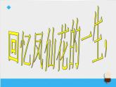 教科版（三起）科学三年级下册第一单元7《我们的大丰收》课件