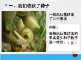 教科版（三起）科学三年级下册第一单元7《我们的大丰收》课件